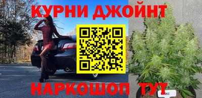 индика Комсомольск-на-Амуре