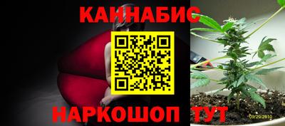 индика Комсомольск-на-Амуре