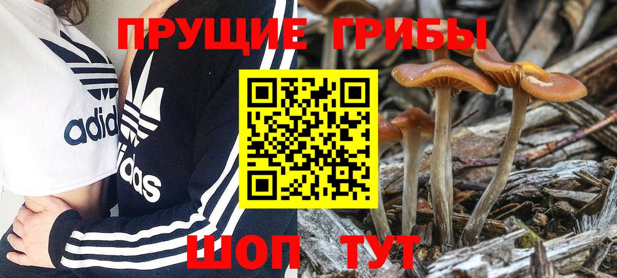 Галлюциногенные грибы ЛСД  Вход с VPN  Ковров 